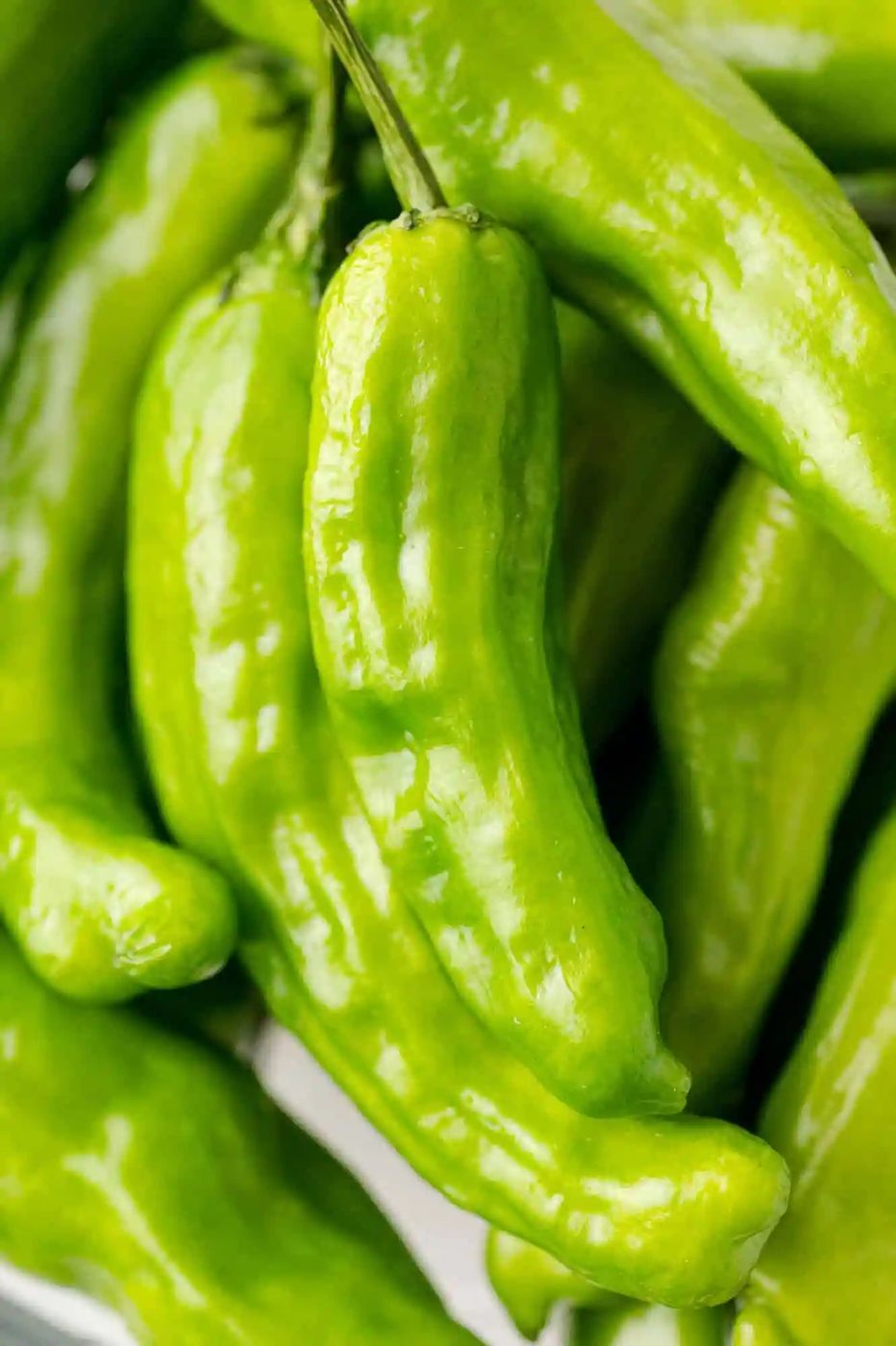 Close-up of a bunch of fresh, glossy green shishito peppers with smooth skin and a curved shape.