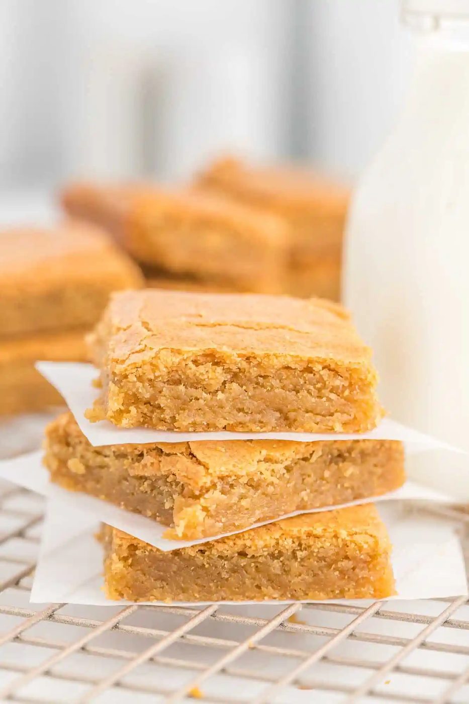 Blondie Recipe (one bowl!)