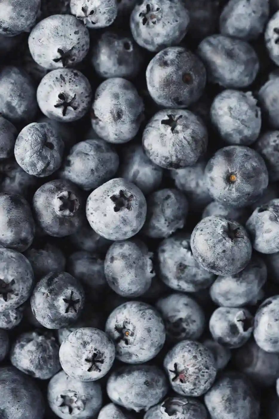 Close up of fresh blueberries, filling frame.
