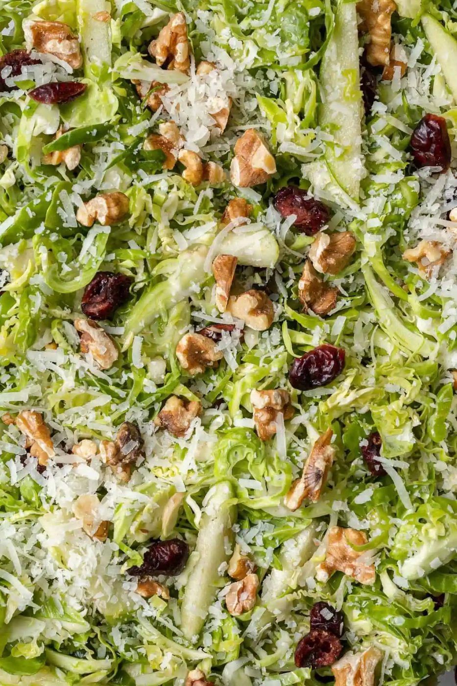 Close up of shredded Brussels sprouts, walnuts, cranberries, and cheese.