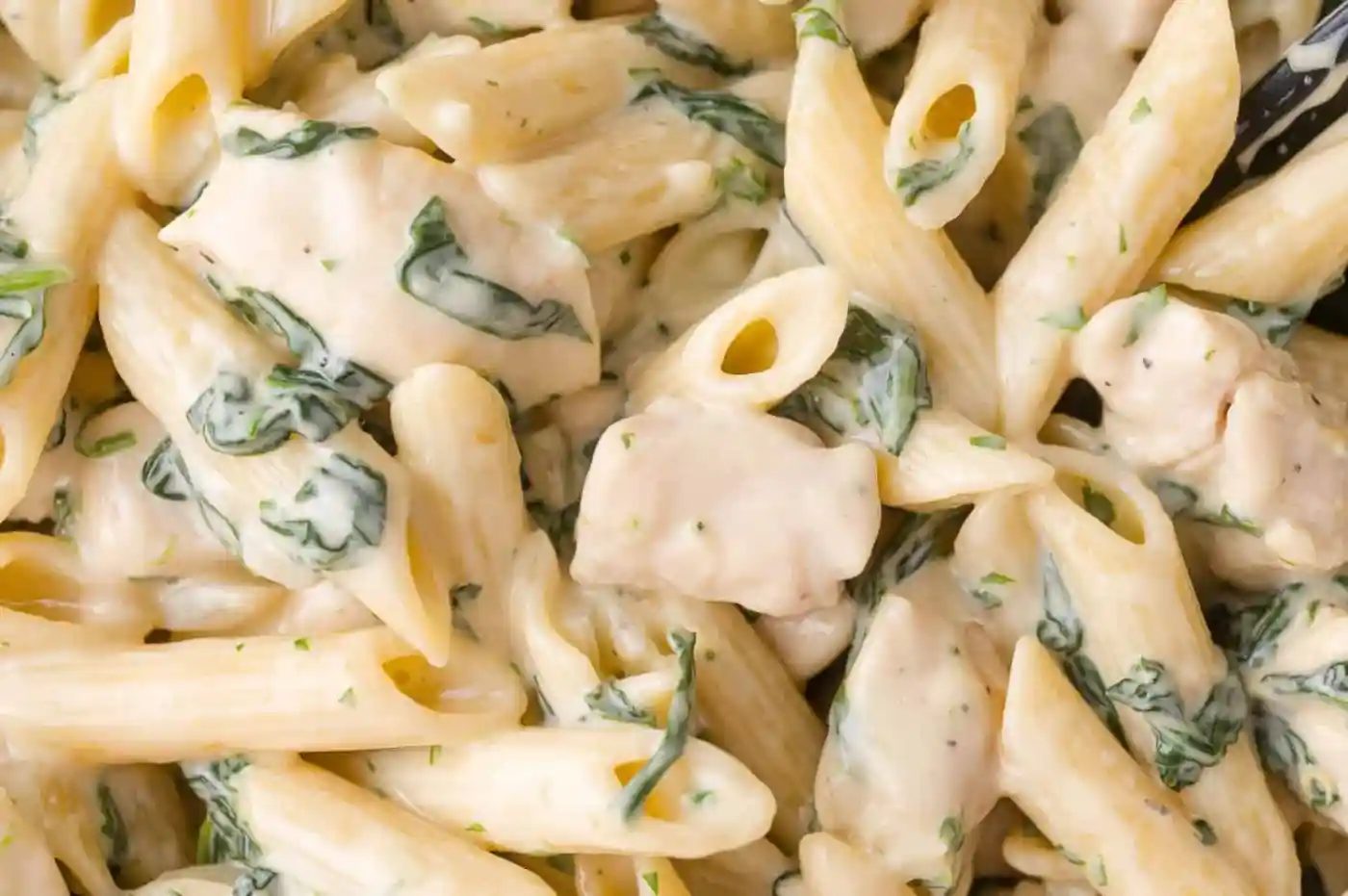 Close-up of penne pasta mixed with creamy white sauce, pieces of chicken, and wilted spinach leaves.