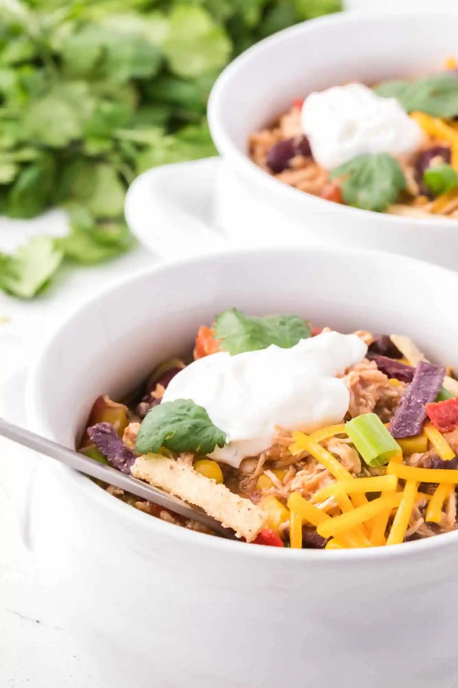 Chicken Taco Soup