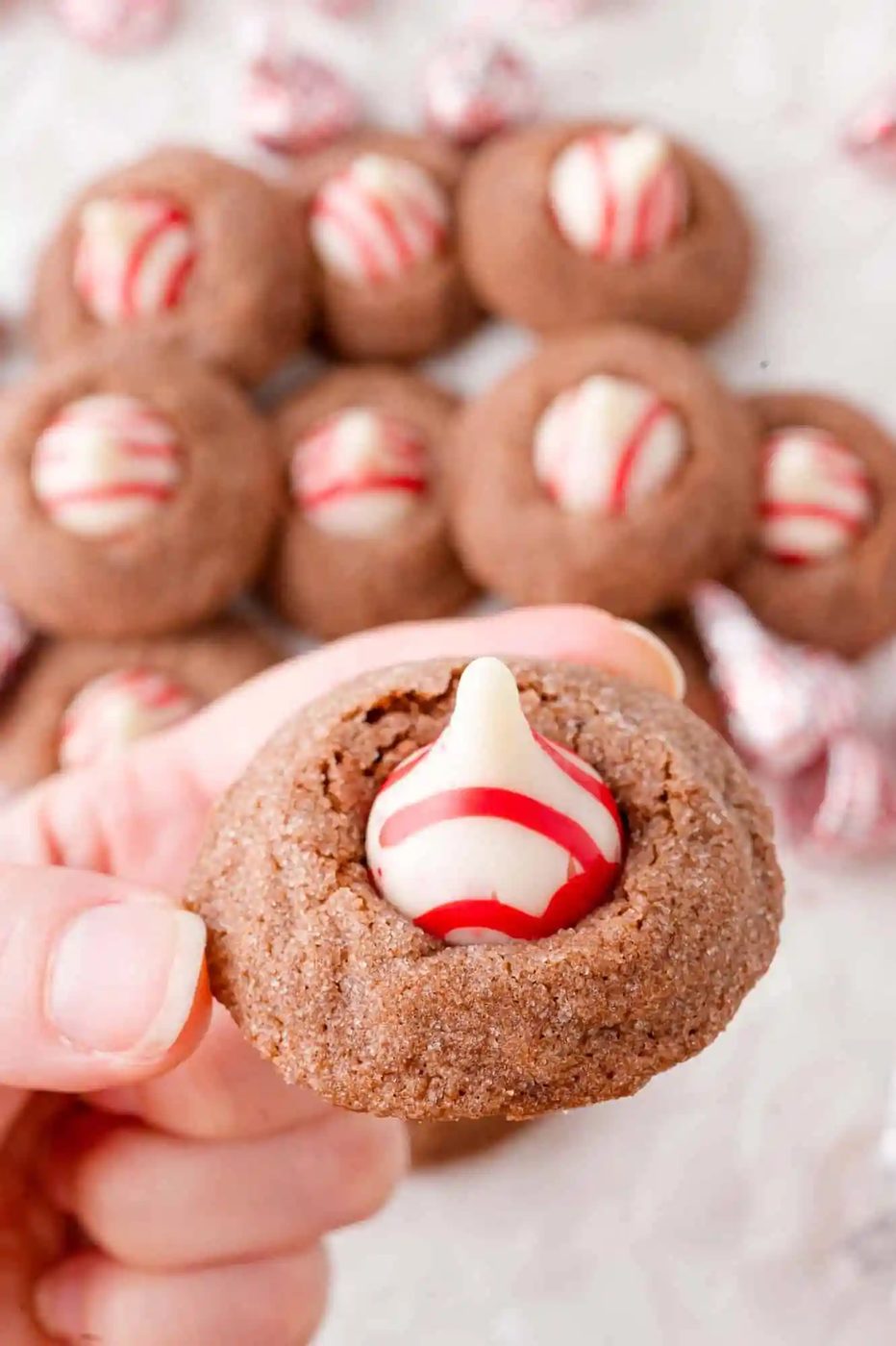A hand holds a chocolate cookie topped with a white and red striped candy. More similar cookies are in the background.