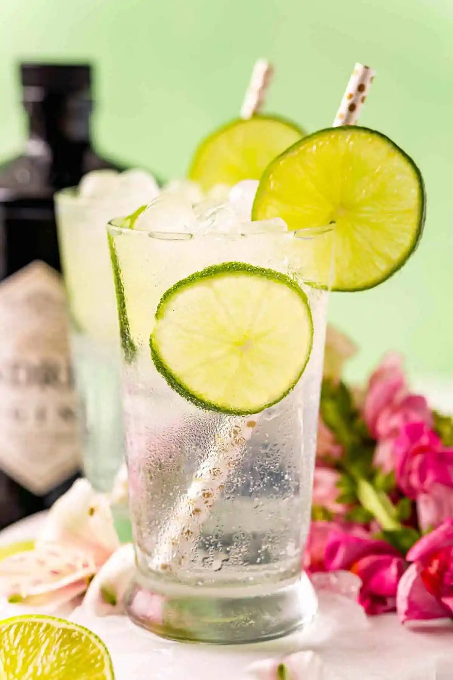 A standby Gin and Tonic