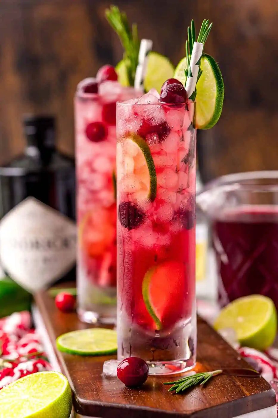Cranberry Gin & Tonic plus Rosemary