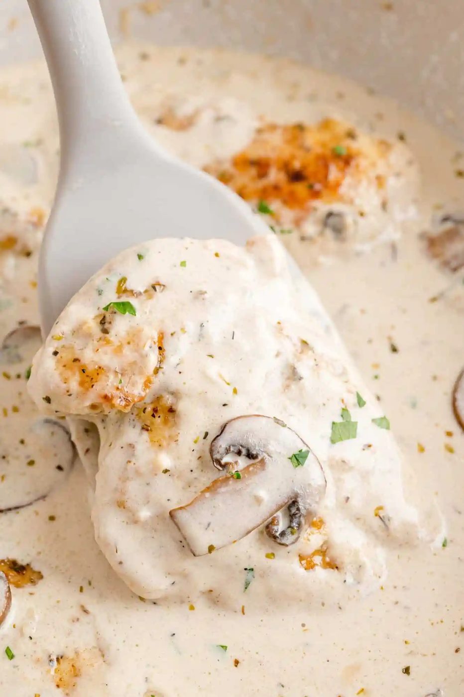 Creamy Chicken Marsala