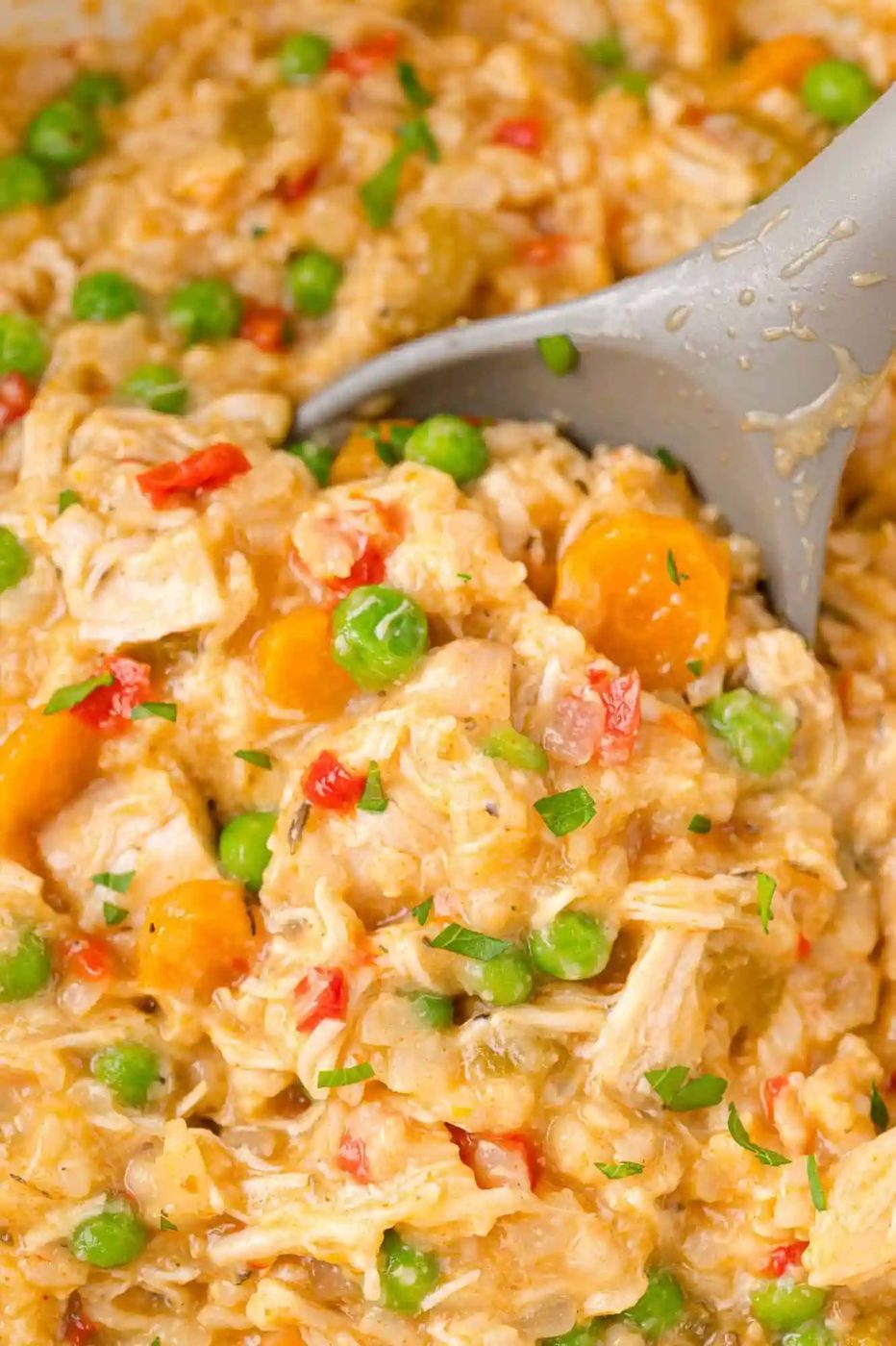 Crockpot Chicken and Rice