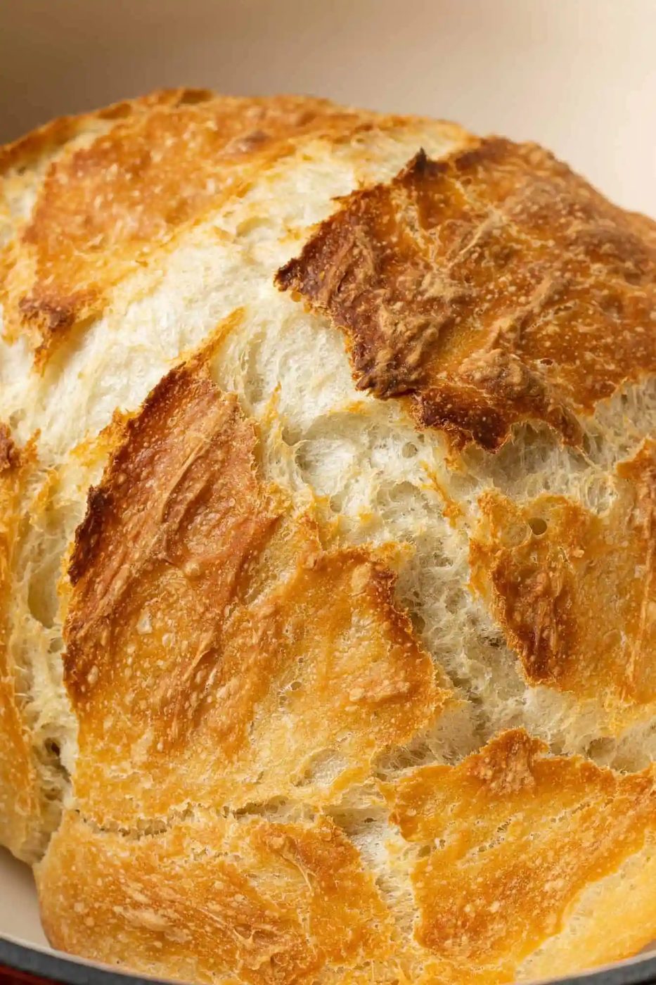Dutch Oven Bread (no knead!)
