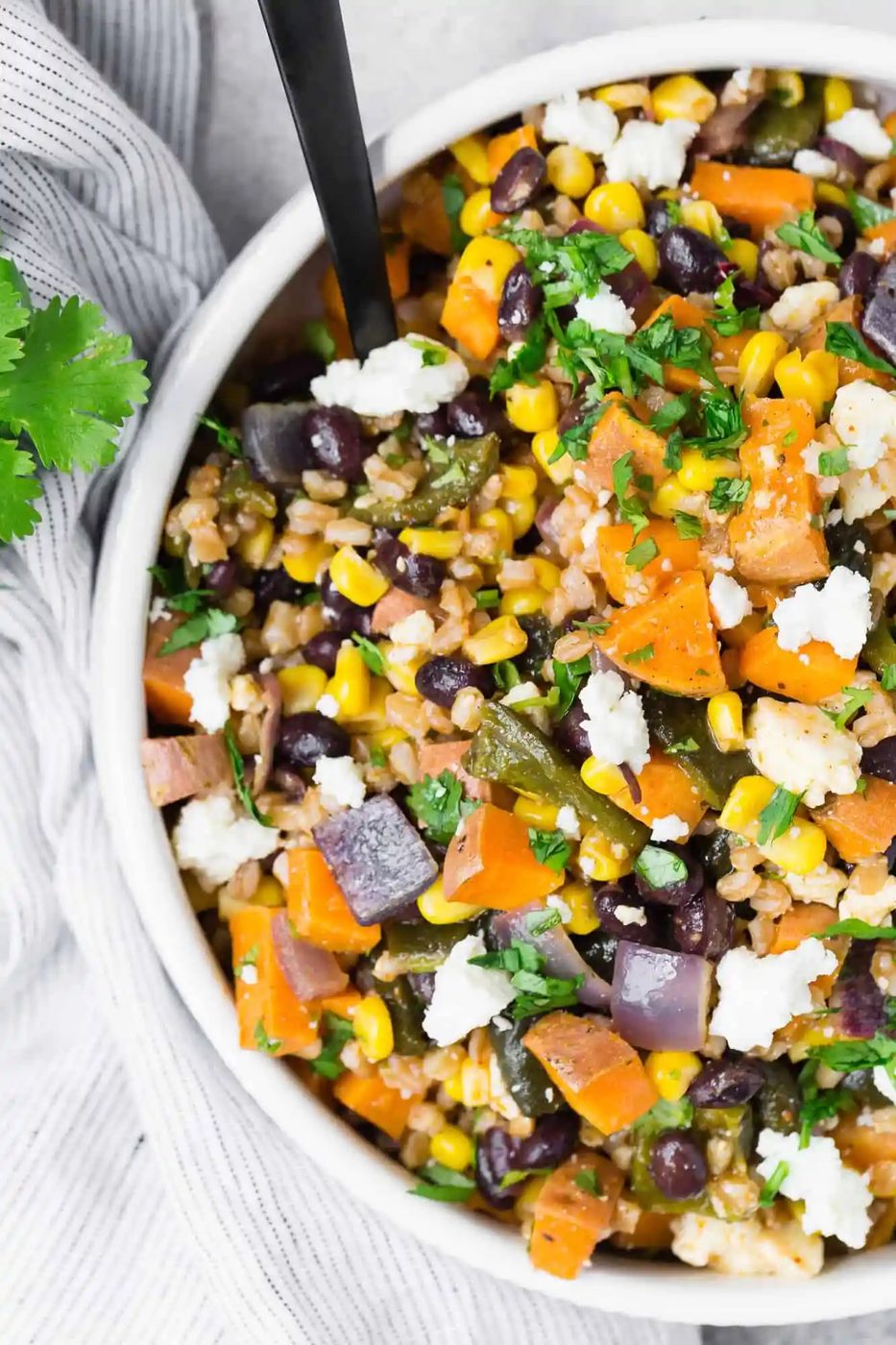 Southwestern Farro Salad Recipe, served with Poblanos