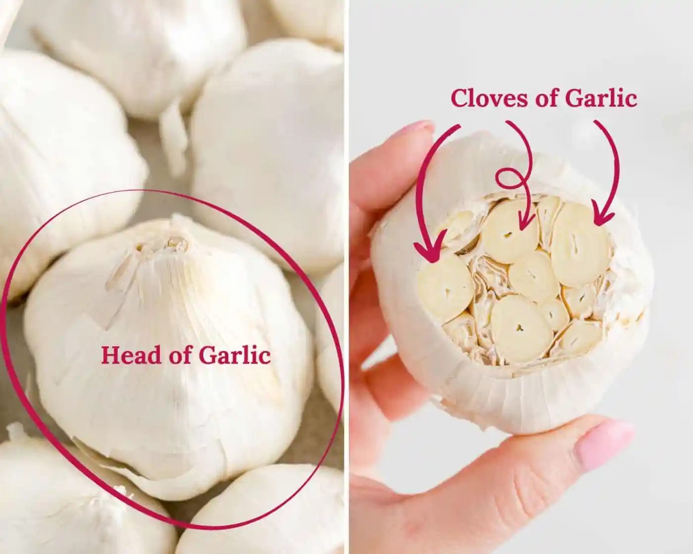 Head vs cloves of garlic, labeled.