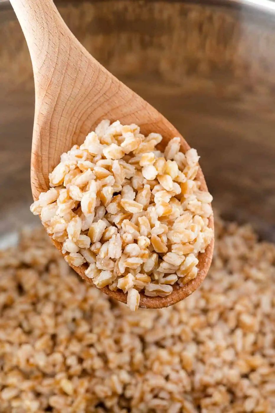 Instant Pot Farro