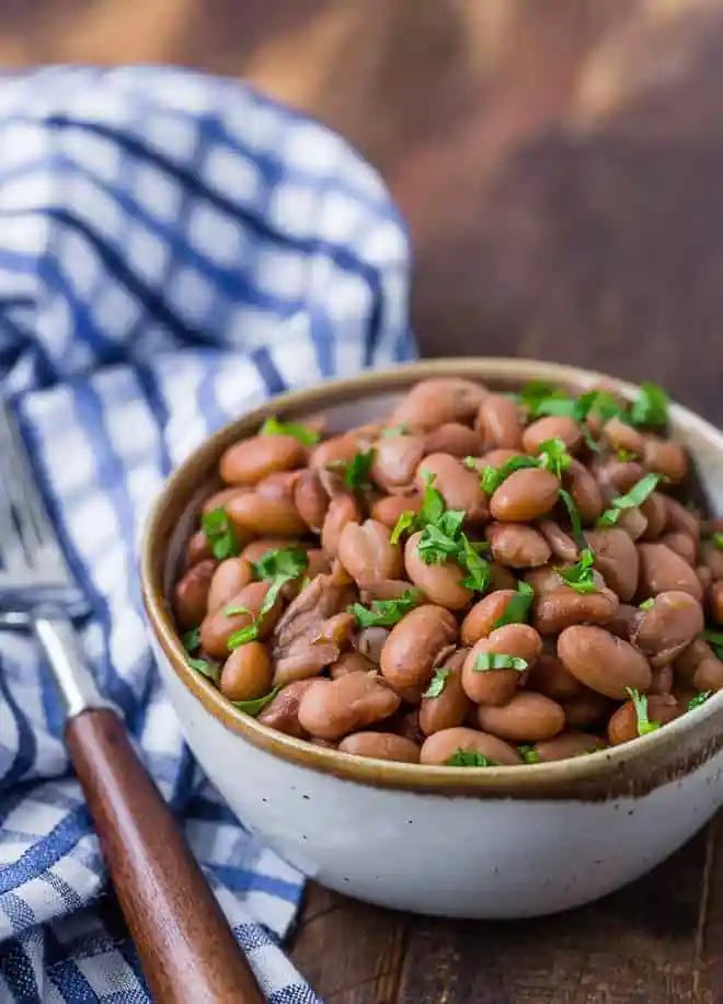 Instant Pot Pinto Beans