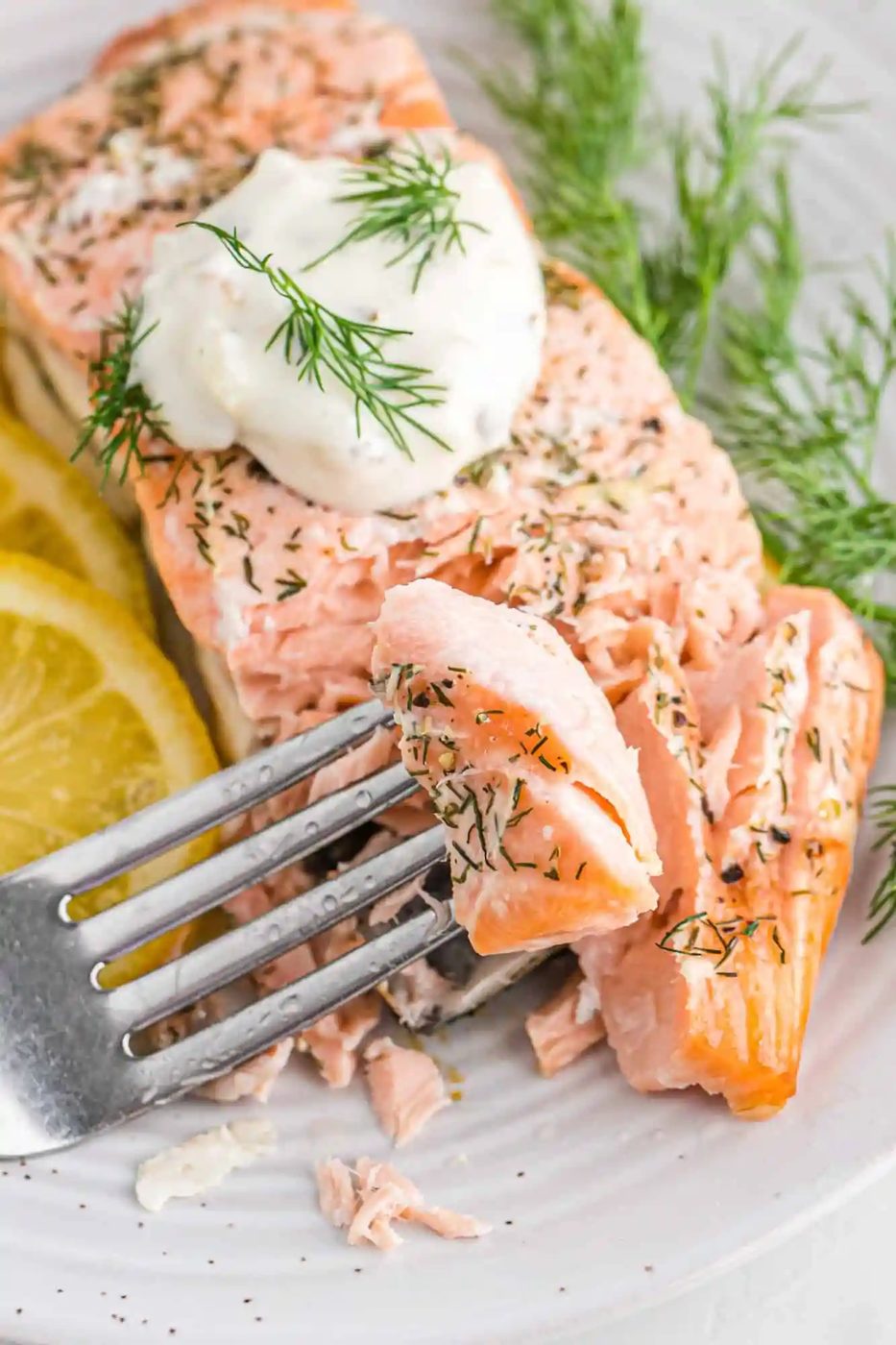 Lemon Salmon, served with Dill