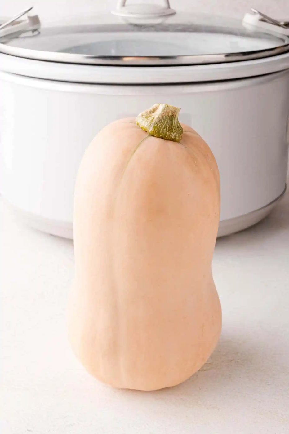 Unpeeled, whole butternut squash standing up in front of a white crockpot.