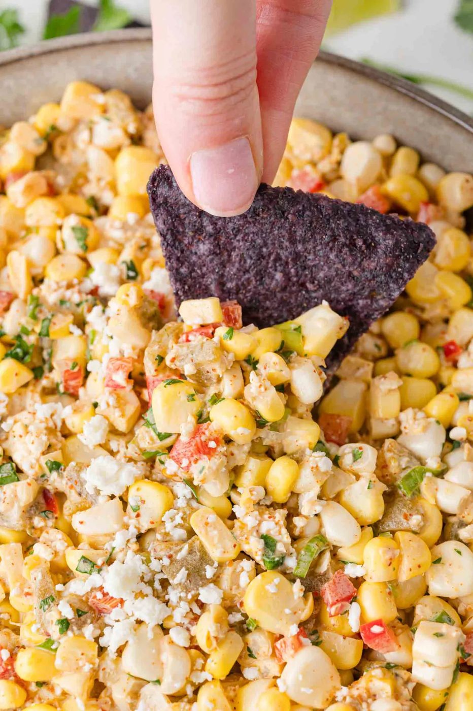 Mexican Street Corn Dip