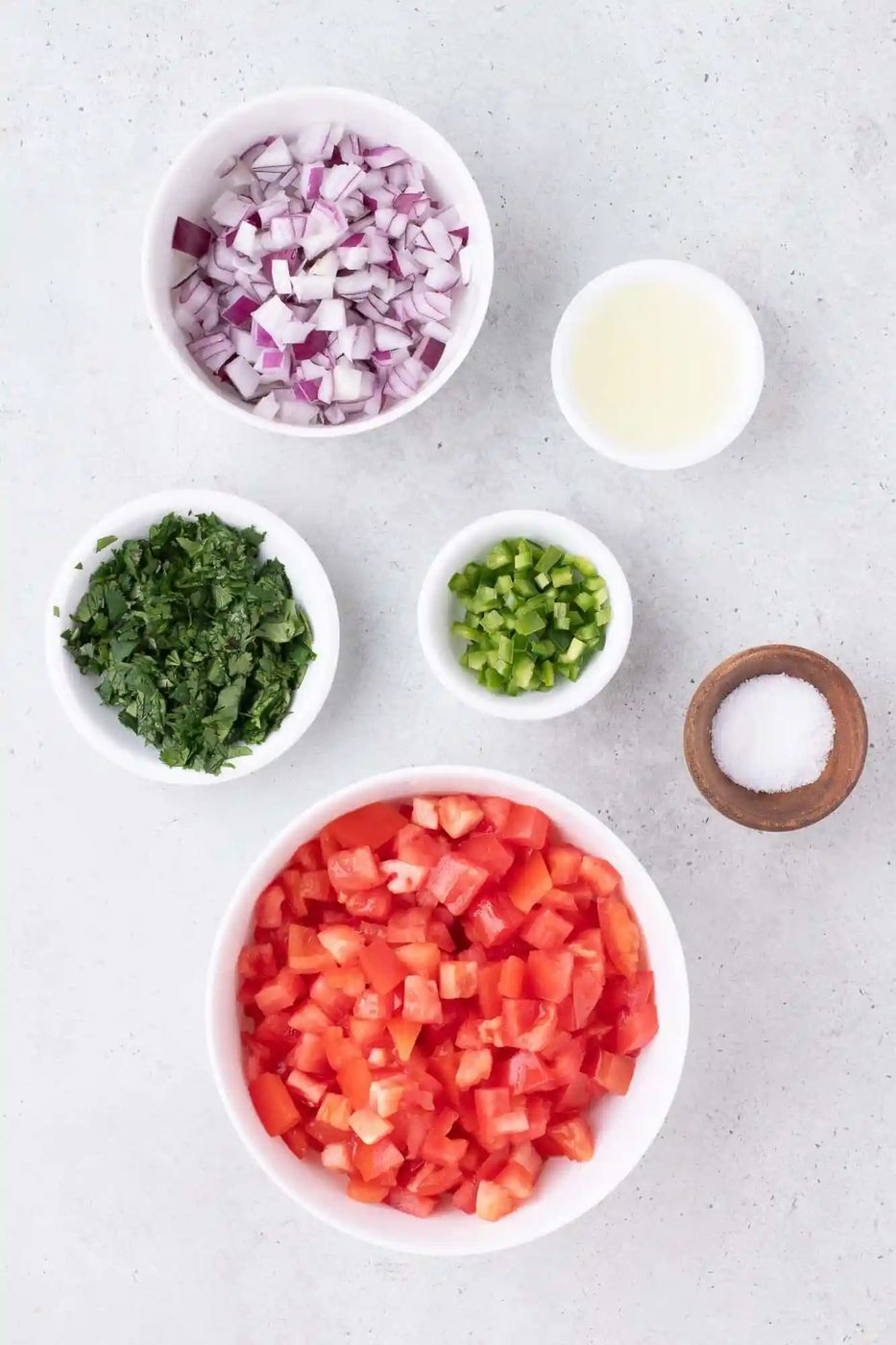 Ingredients for salsa on a countertop: diced tomatoes, chopped red onions, cilantro, green chili, lime juice, and salt.