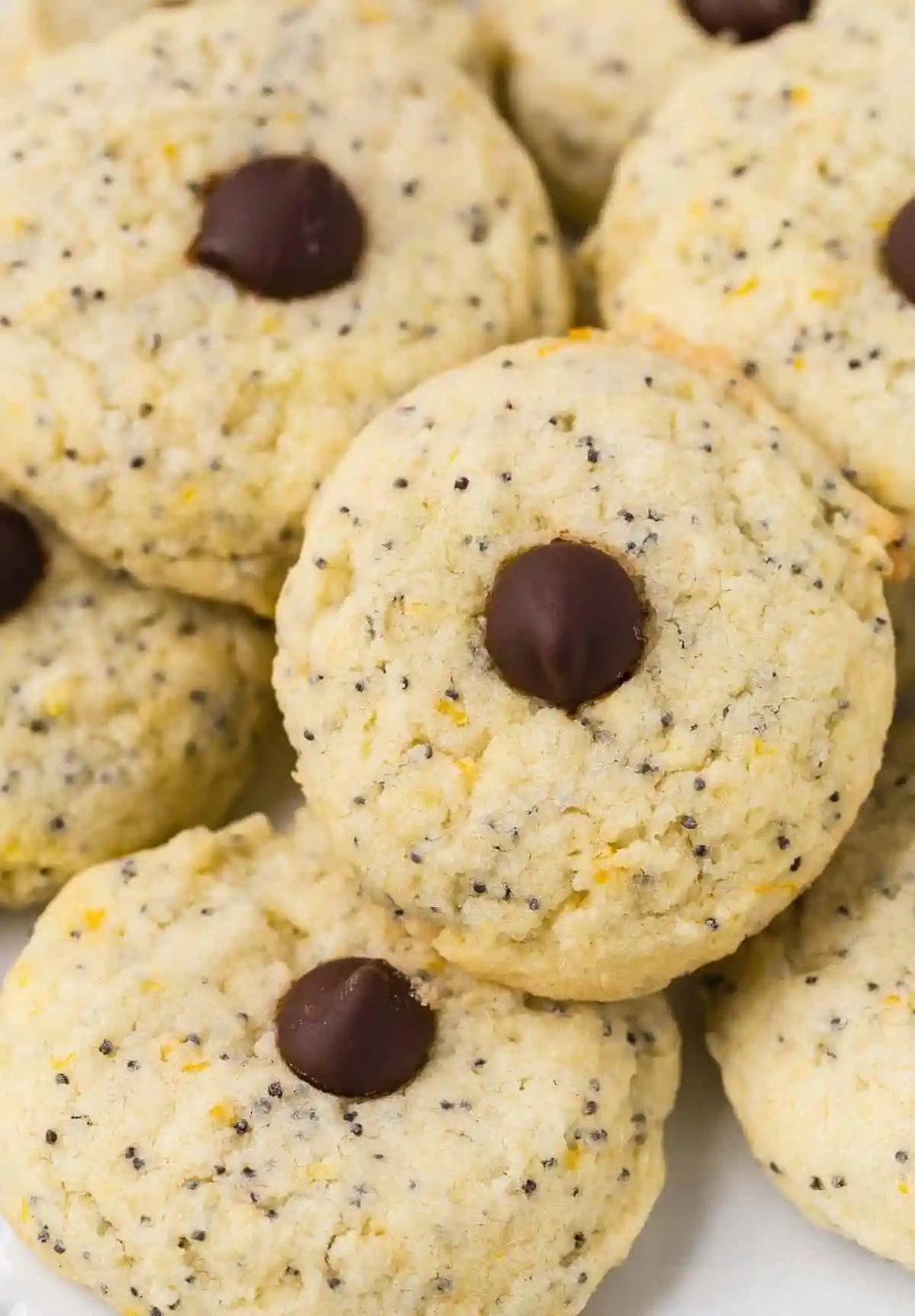 Poppy Seed Cookies, served with Orange