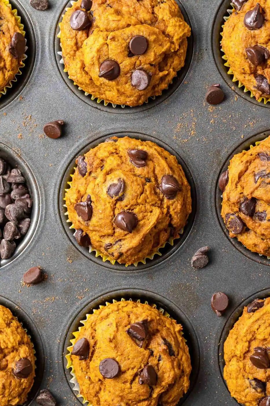 Pumpkin Chocolate Chip Muffins