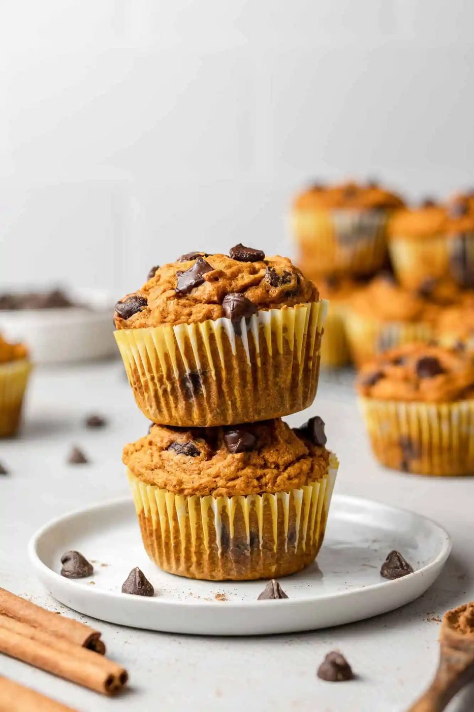 Pumpkin Chocolate Chip Muffins