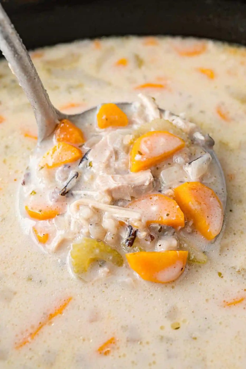 Crockpot Chicken Wild Rice Soup