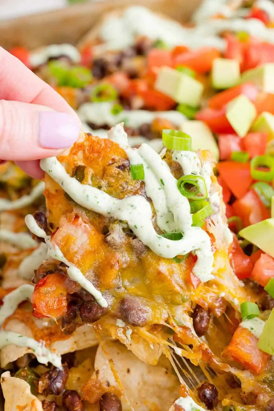 Vegetarian Nachos, served with Creamy Cilantro Lime Drizzle