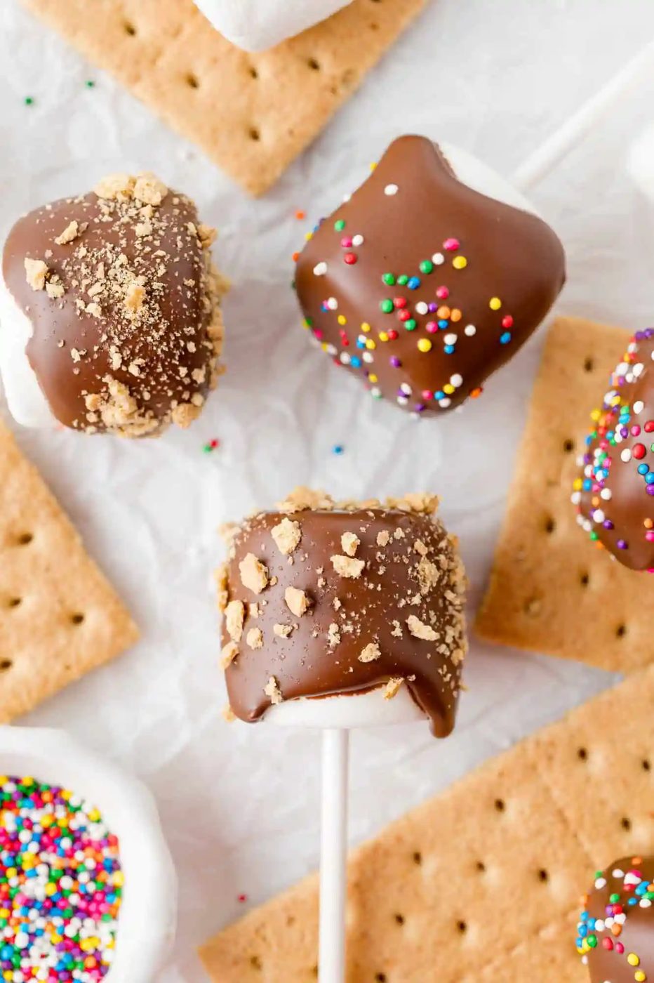 Marshmallows covered with chocolate and sprinkled with either sprinkles or graham cracker crumbs.