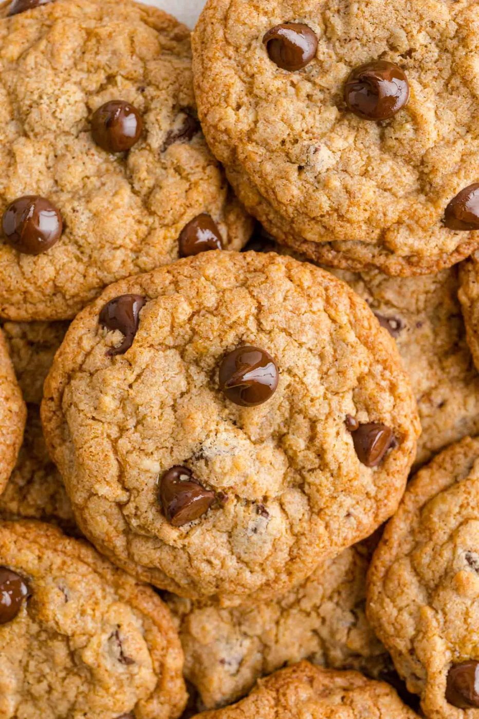 Whole Wheat Chocolate Chip Cookies, served with Oats