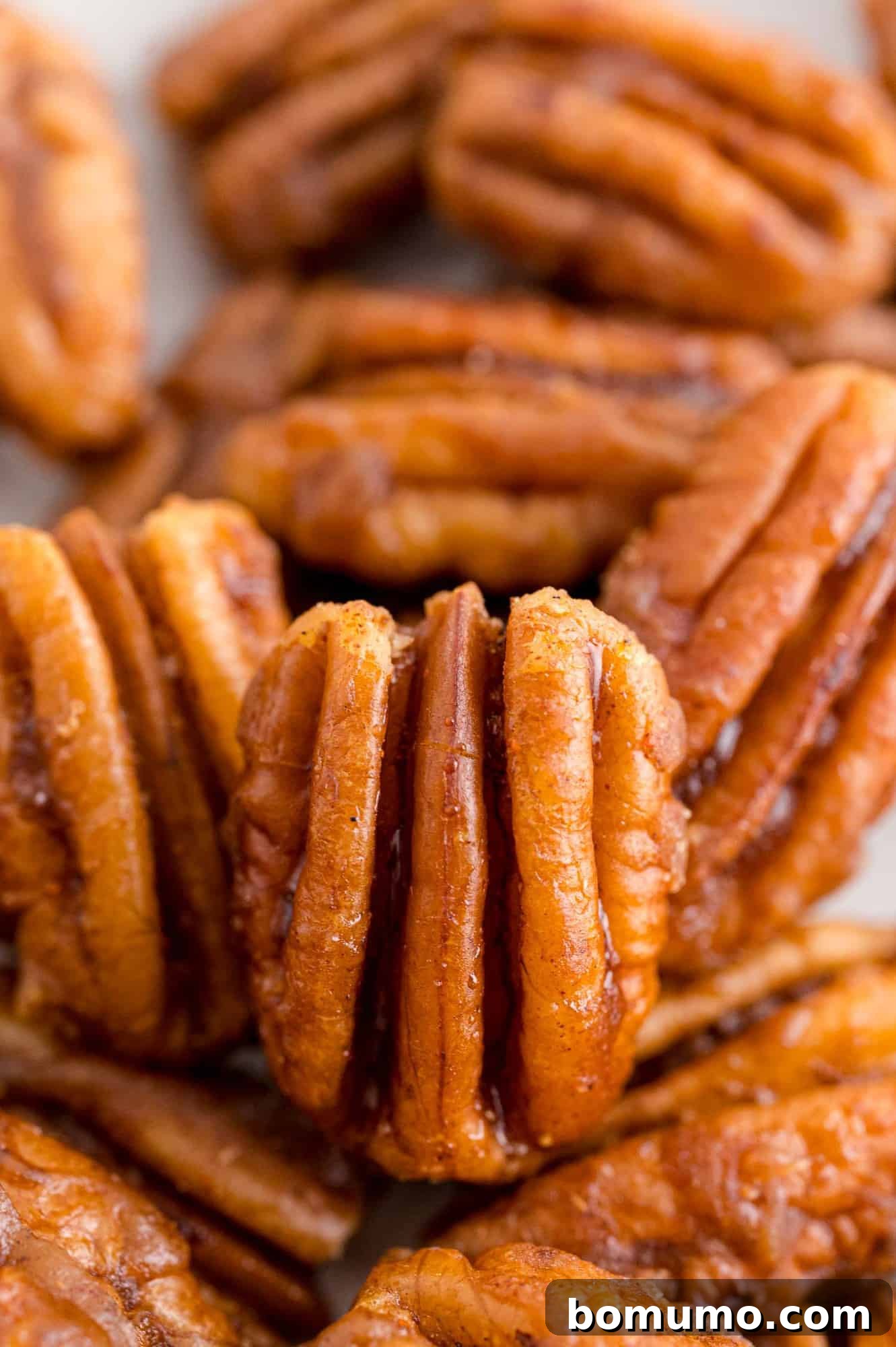 Best Spiced Pecans Ever 10 Close up of pecans, capturing the details.