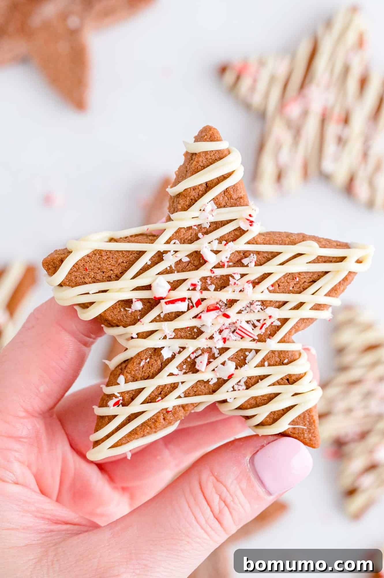 A hand thoughtfully holding a perfectly baked chocolate peppermint sugar cookie, showcasing its rich dark color and inviting texture, ready for a delicious bite.