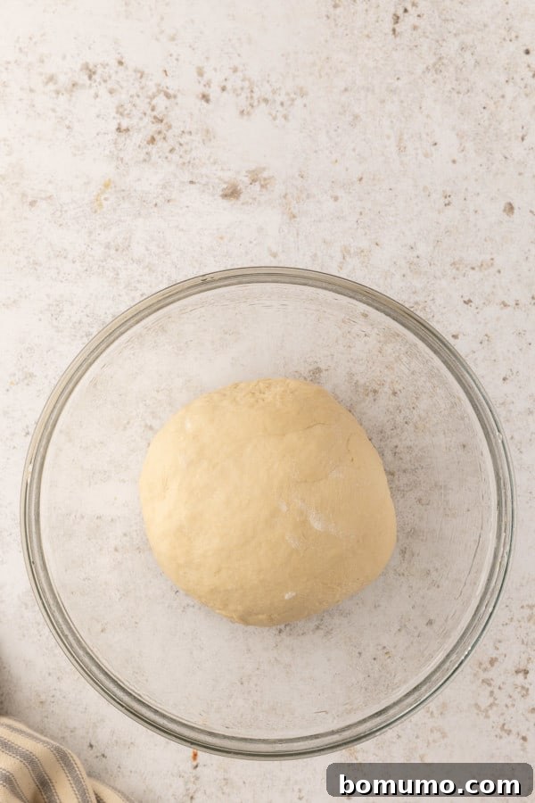 Pretzel dough in a glass bowl, lightly oiled and covered, before its first rise.