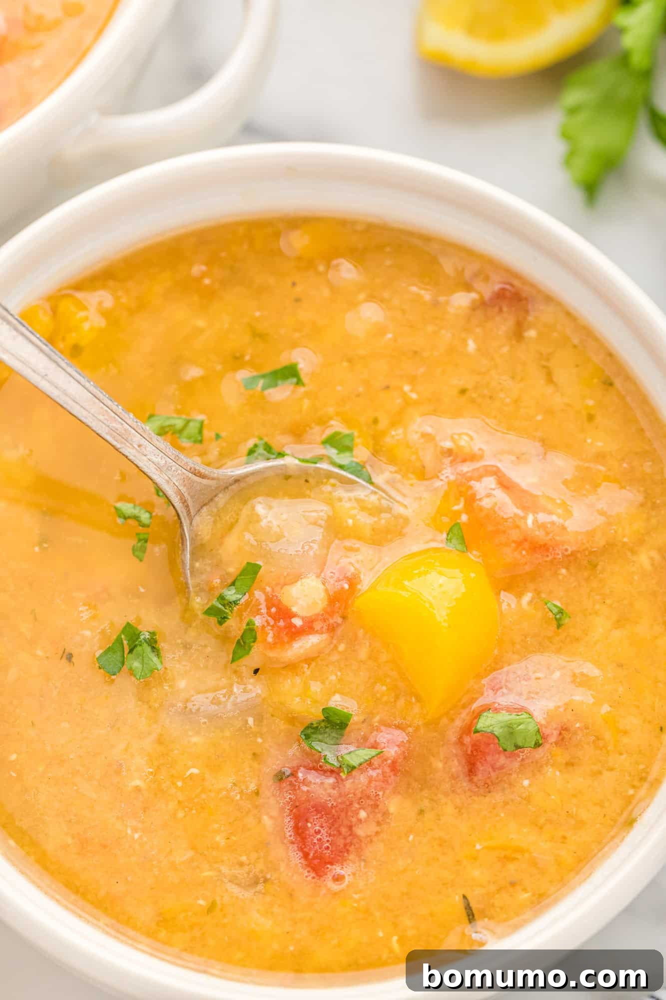 A beautifully presented bowl of creamy red lentil soup, garnished and ready to be enjoyed.