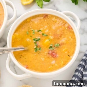 A vibrant bowl of red lentil soup, ready to be served.