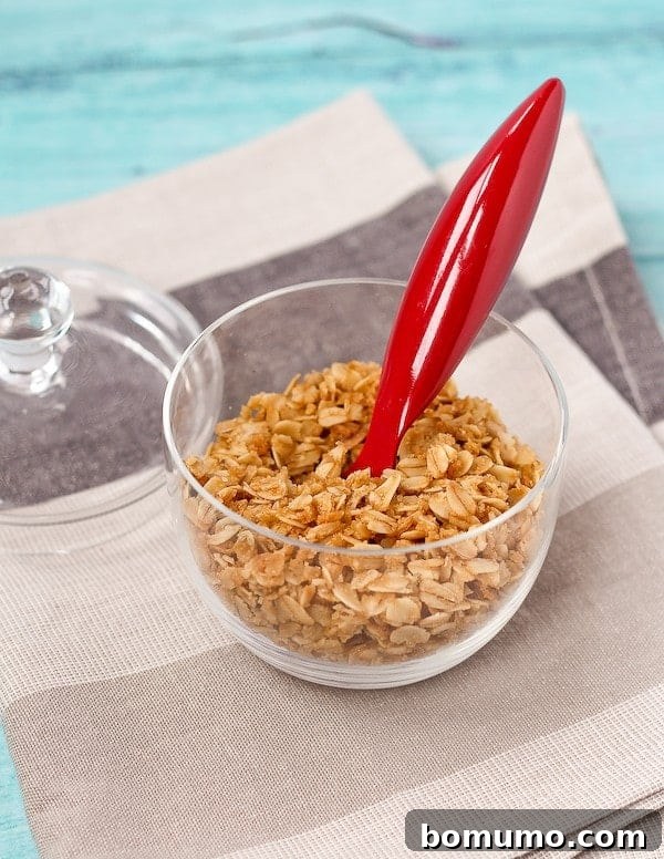 Delicious Crunchy Oat Topping on Ice Cream