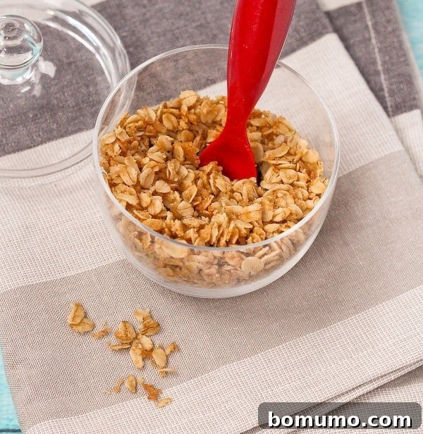 Close-up of Crunchy Oat Topping