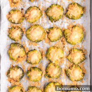 Smashed Brussels sprouts on a sheet pan, sprinkled with cheese.