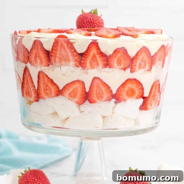 Strawberry Trifle