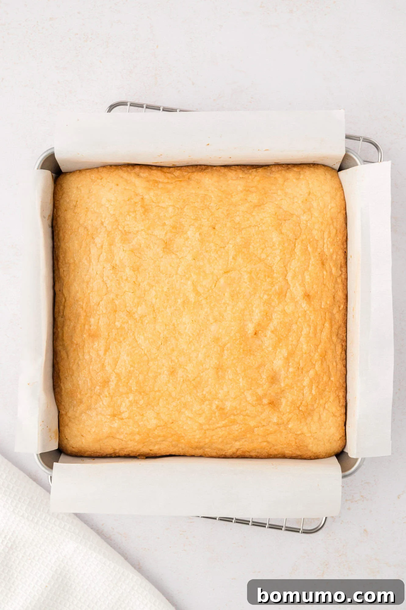 Freshly baked lemon brownies, still in their parchment-lined pan, showing lightly golden edges.