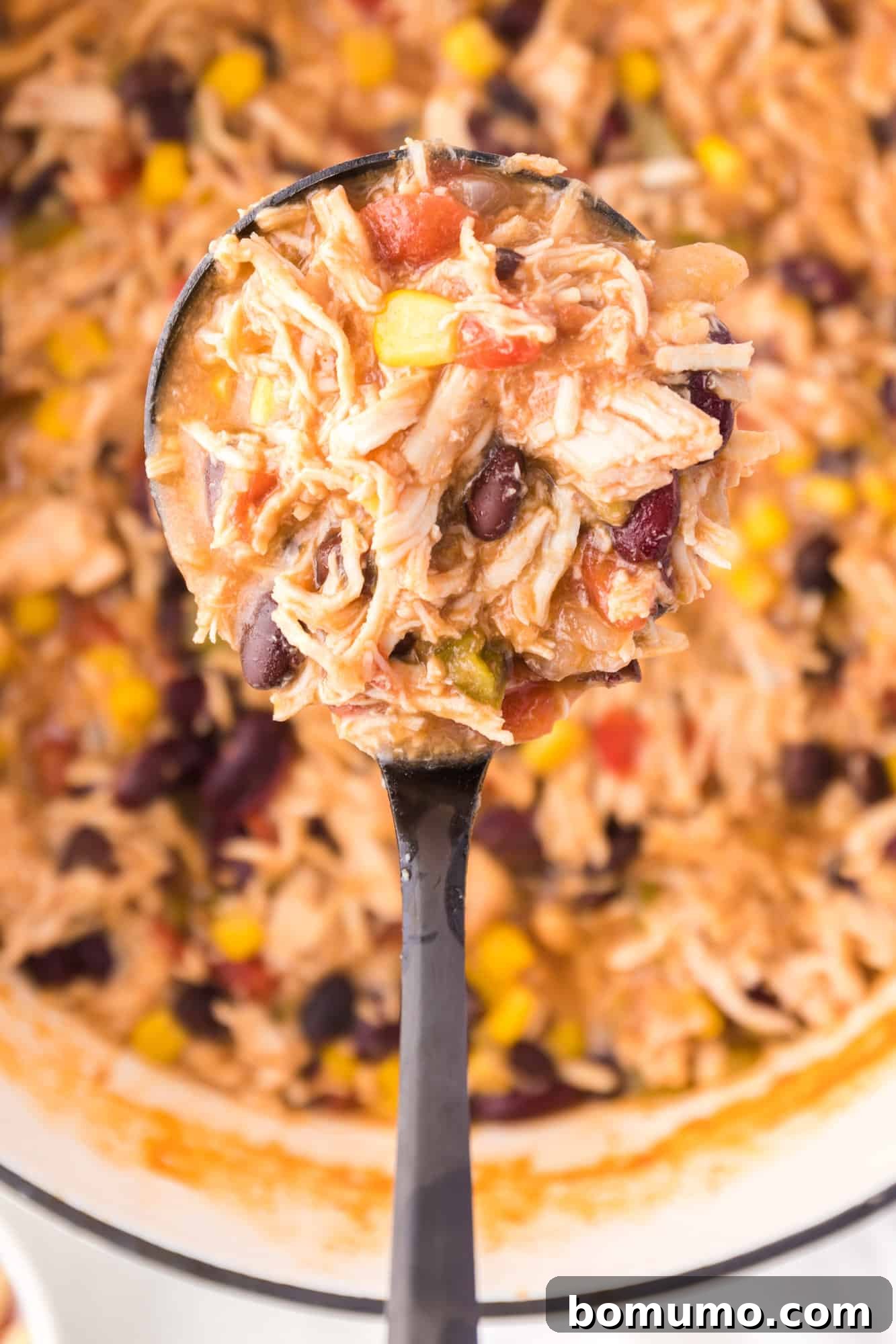 An overhead shot of a ladle full of rich chicken taco soup, held over a large pot of the same soup, inviting a serving.
