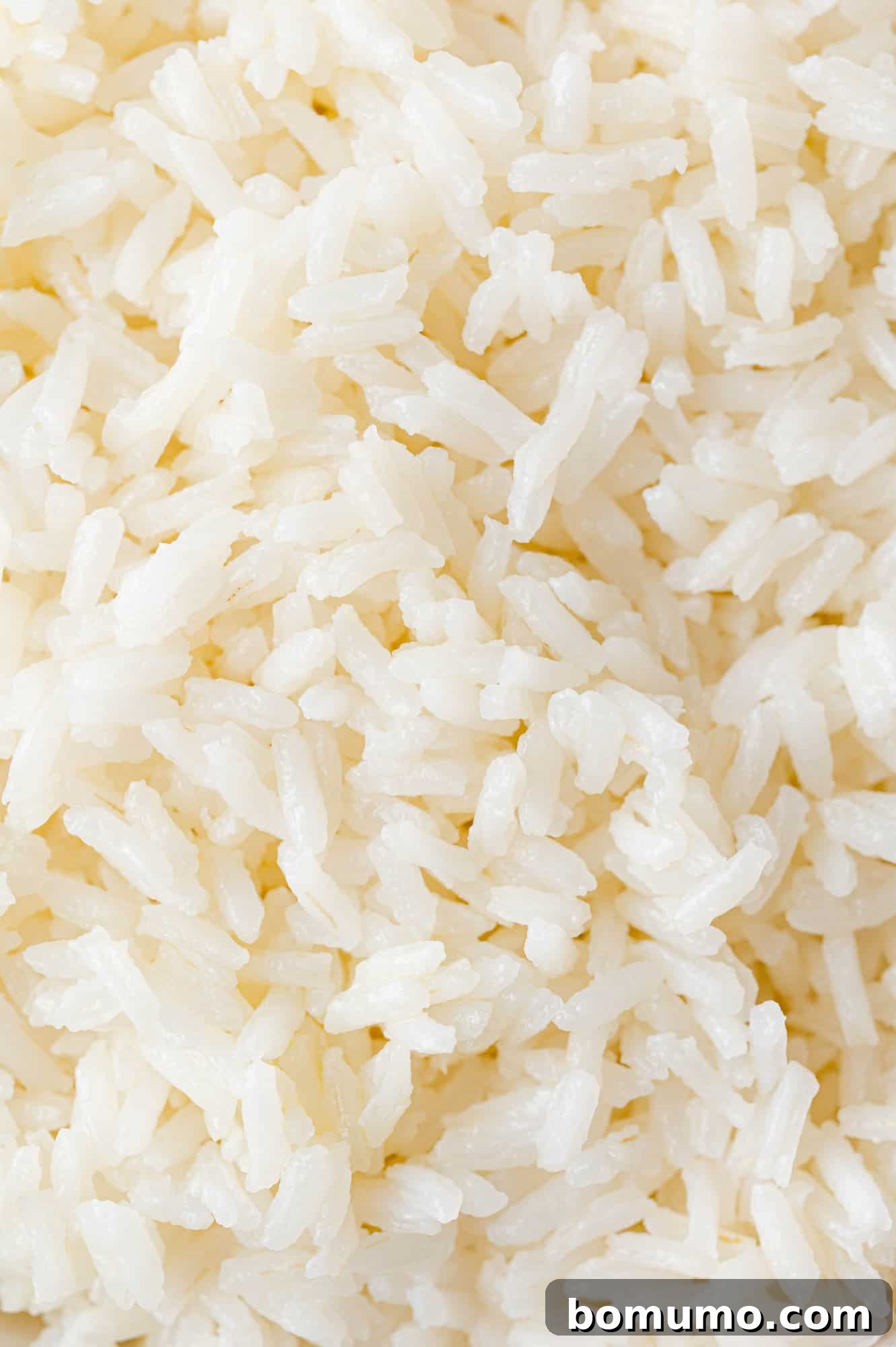 Close-up of fluffy cooked jasmine rice, filling the entire frame, highlighting its perfect texture.