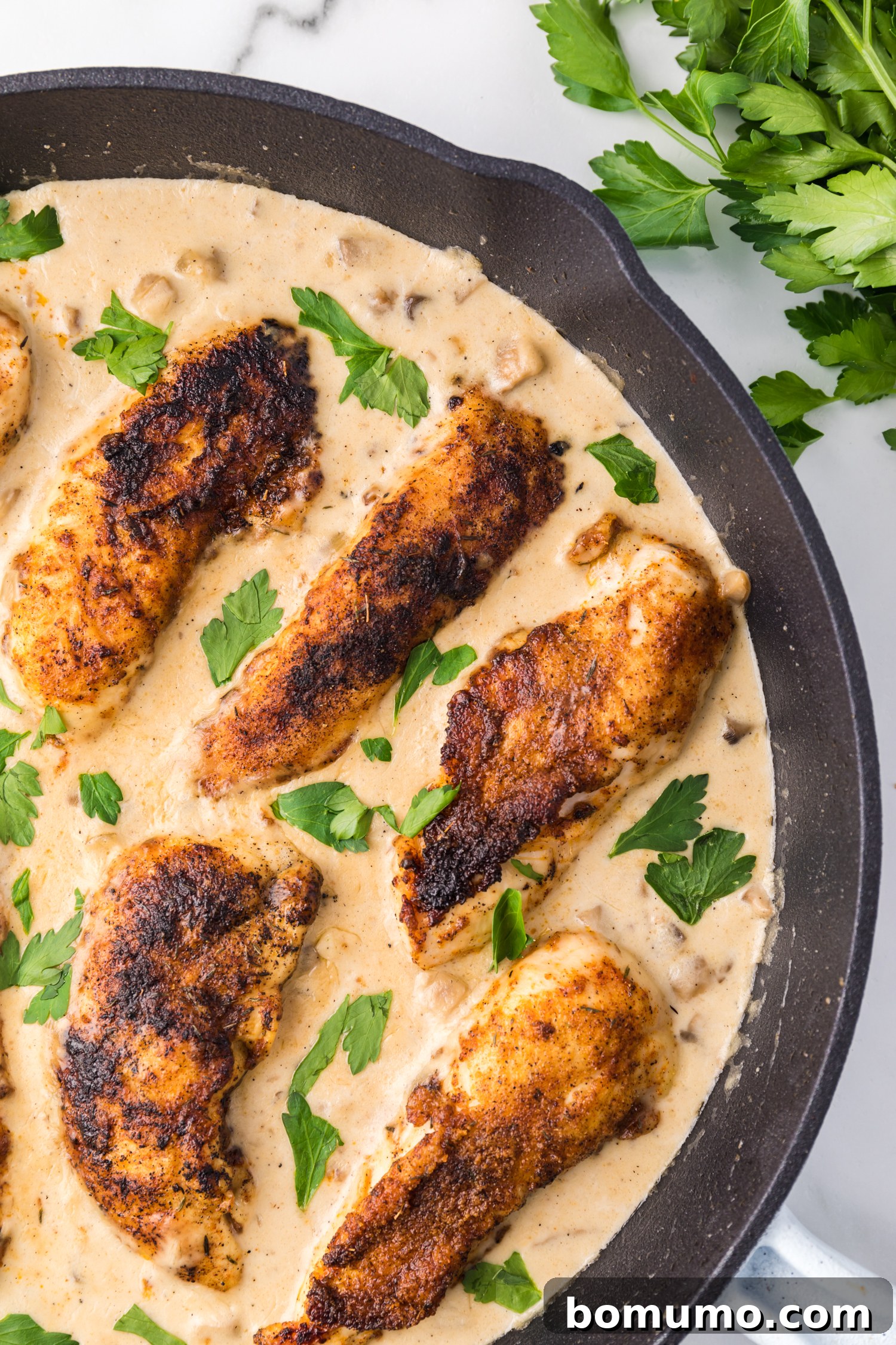 Overhead view of cream of mushroom chicken in a skillet garnished with fresh parsley, ready to serve.