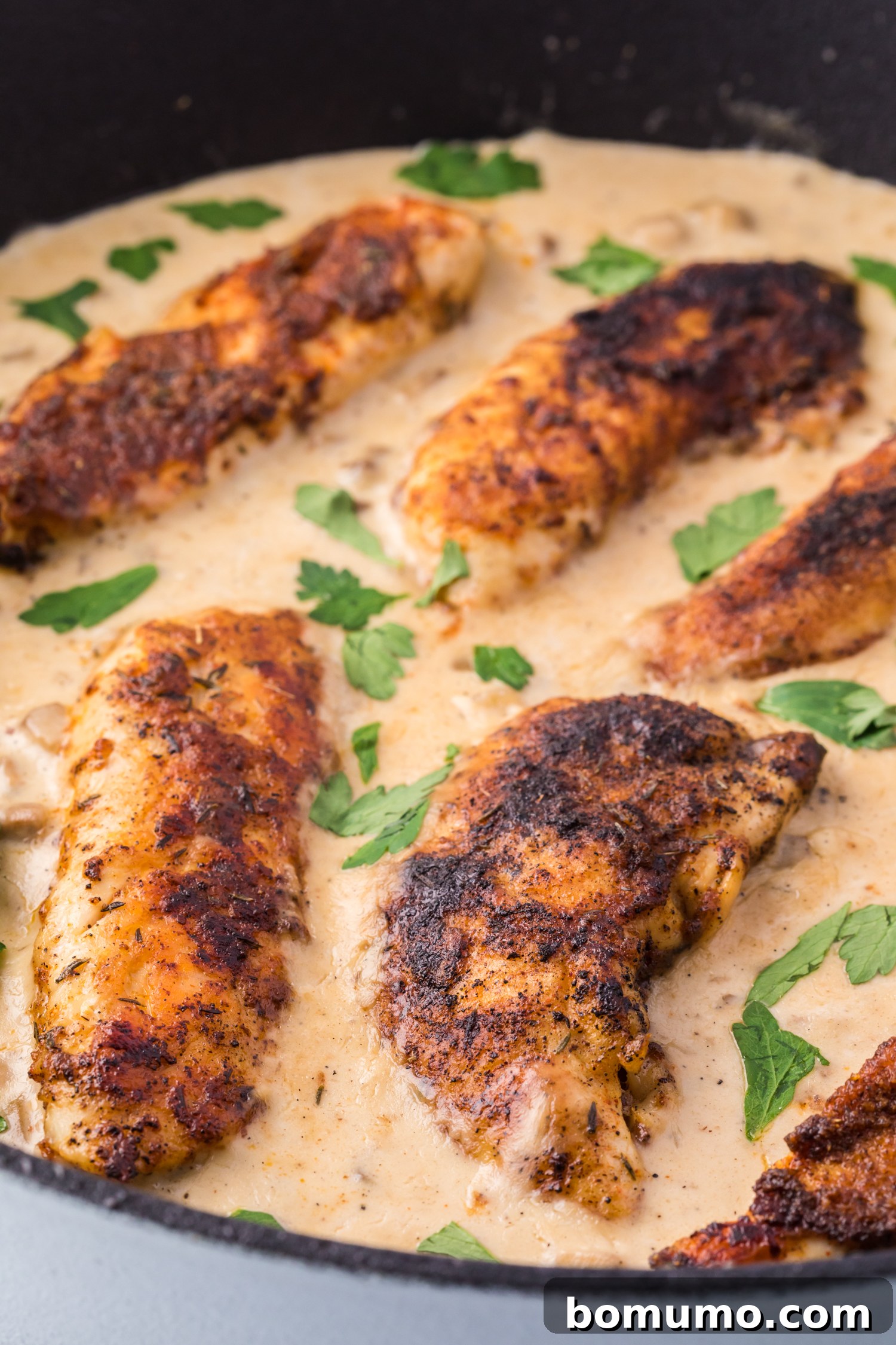 Cream of mushroom chicken in a skillet garnished with parsley, captured from a slightly elevated angle to showcase the texture and presentation.