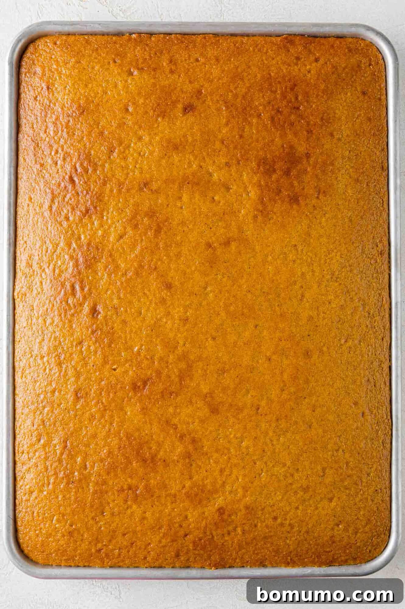 Autumn Pumpkin Spice Bars 13 Freshly baked pumpkin bars, golden brown and perfectly risen, resting in the sheet pan and cooling on a wire rack before the frosting is applied.