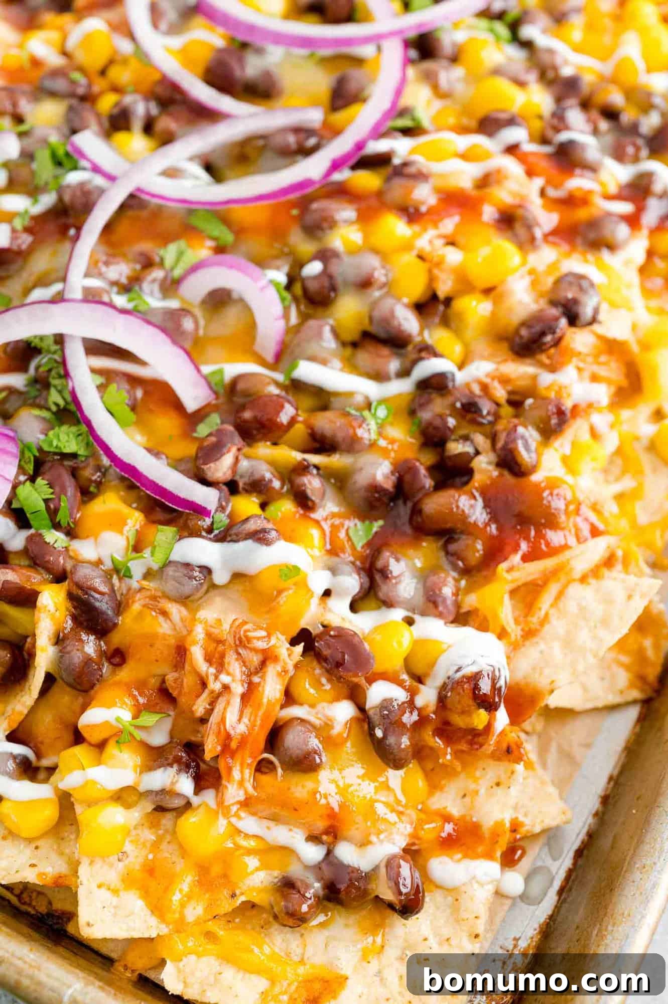 Backyard BBQ Chicken Nachos 3 A close-up view of a perfectly layered portion of BBQ Chicken Nachos, showcasing the melted cheese, chicken, and vibrant toppings.