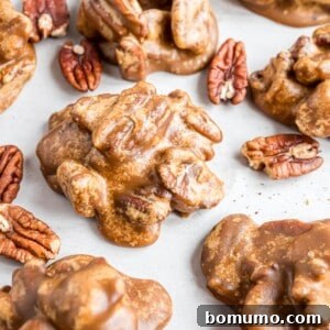 Pecan Pralines on a white surface, surrounded by pecans.
