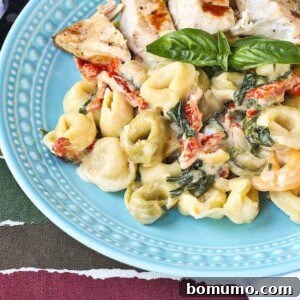 The finished dish: Creamy Sun-Dried Tomato Tortellini with Spinach