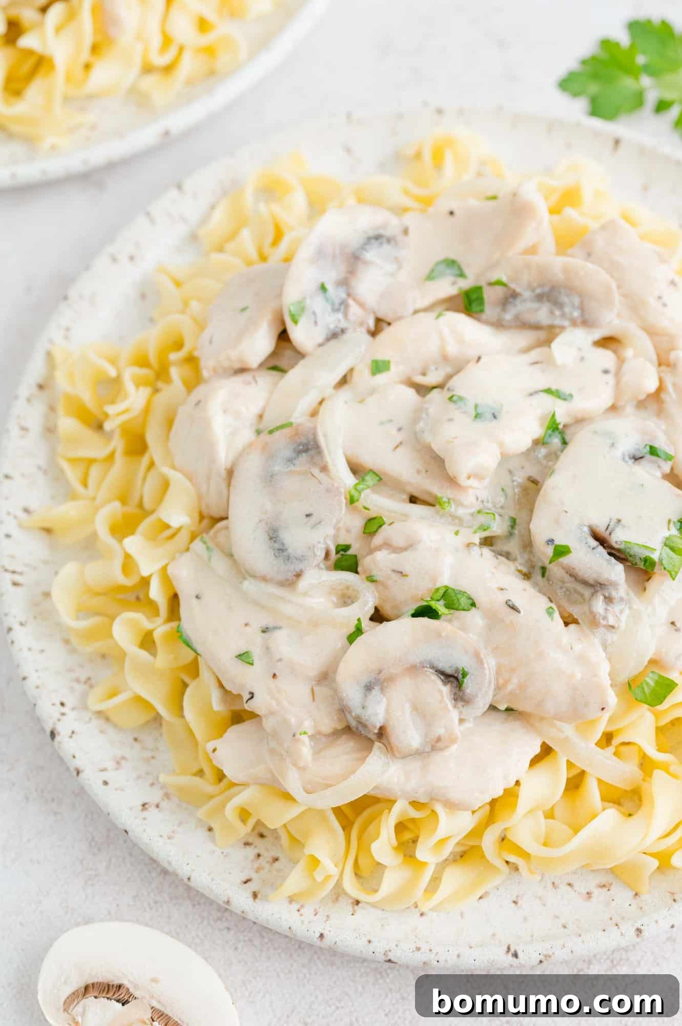 Velvety Chicken Stroganoff 2 Chicken stroganoff served on tender egg noodles, garnished with fresh parsley.