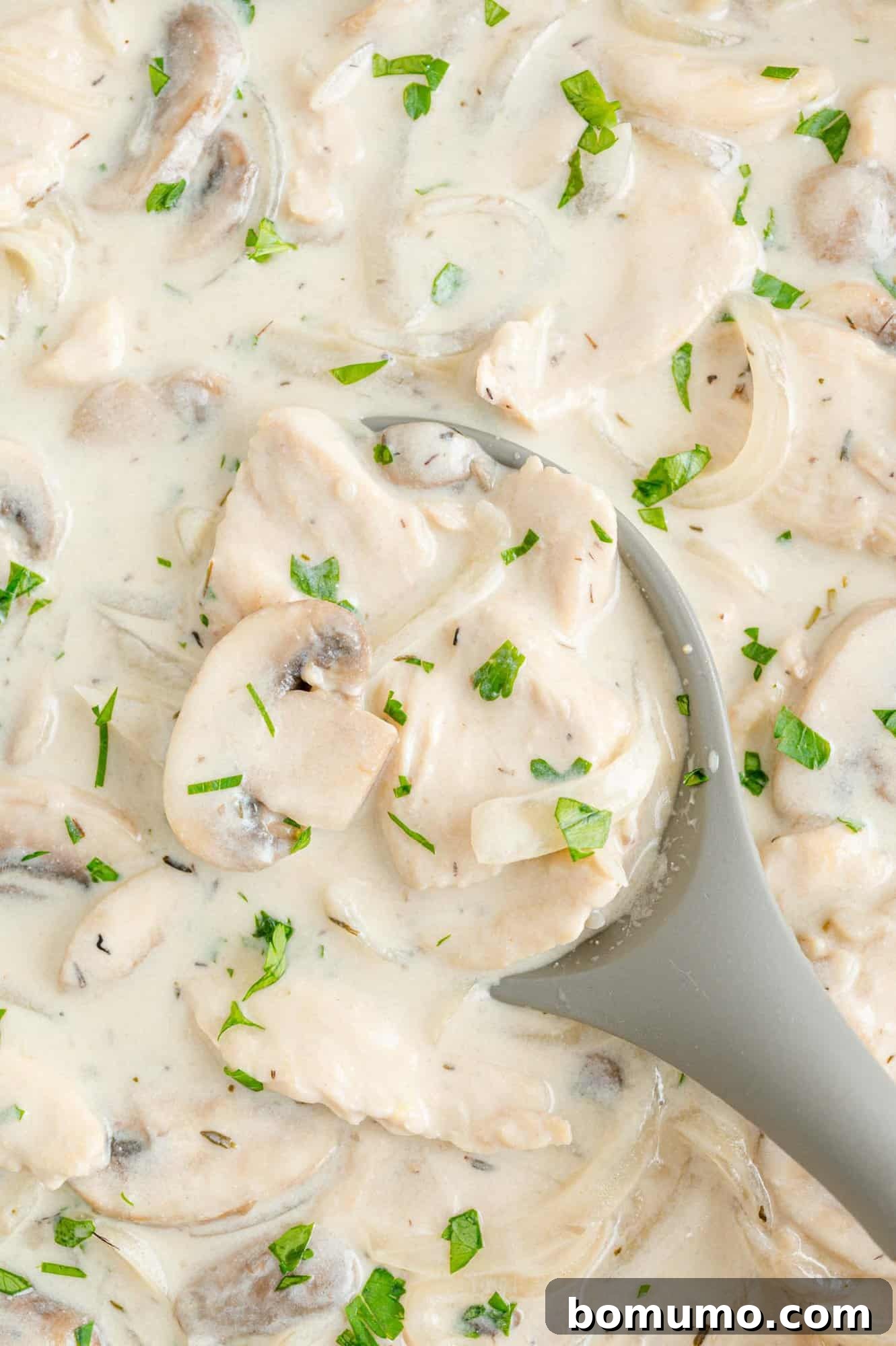 Velvety Chicken Stroganoff 13 A close-up shot of creamy chicken stroganoff on a serving spoon.