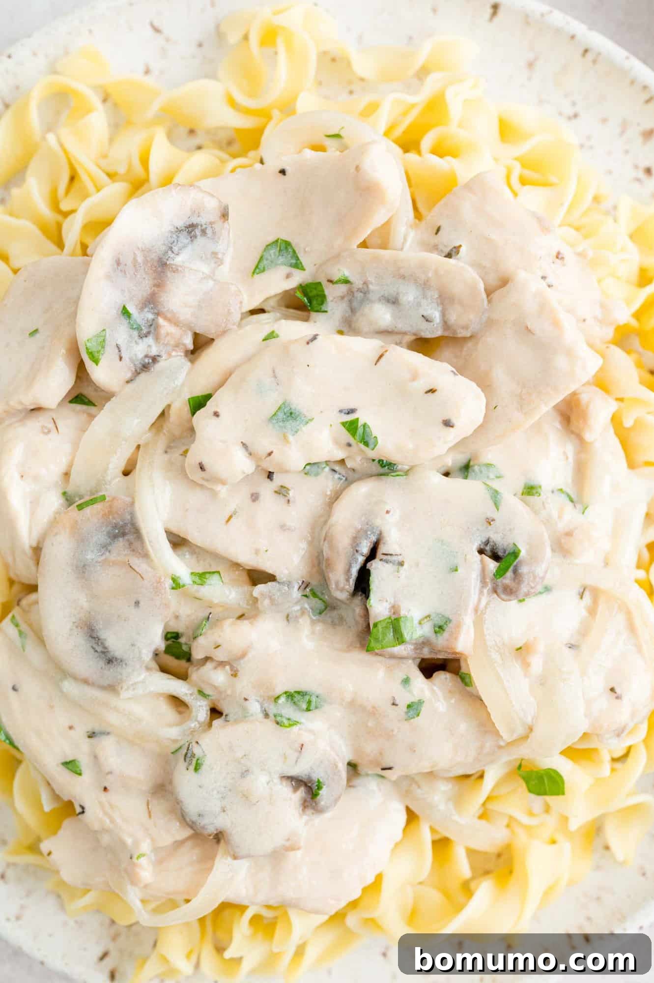Velvety Chicken Stroganoff 14 A plated serving of chicken stroganoff with egg noodles and fresh parsley garnish.