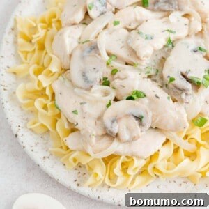 Chicken stroganoff served on egg noodles.