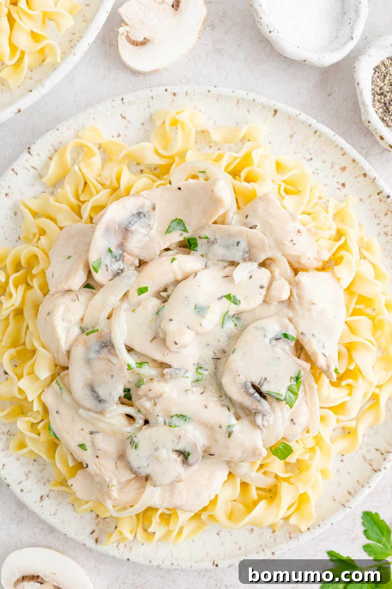 Velvety Chicken Stroganoff 3 A plate of chicken stroganoff with abundant mushrooms and tender egg noodles.
